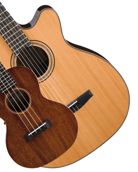 Guitar Ukulele